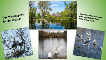 Paula Forjan   Natur In Der Stadt1